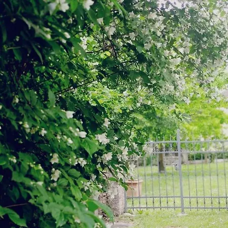 Ernestine Family Bed & Breakfast Caneva