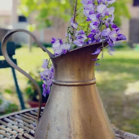 Ernestine Family Bed & Breakfast 3*